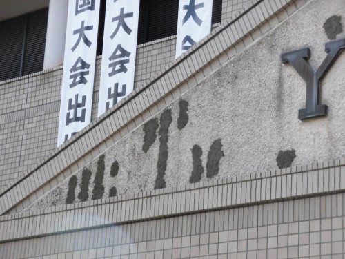 CIMG4547
