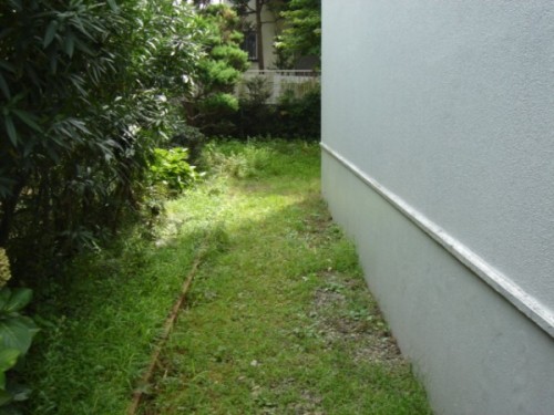 dsc07067