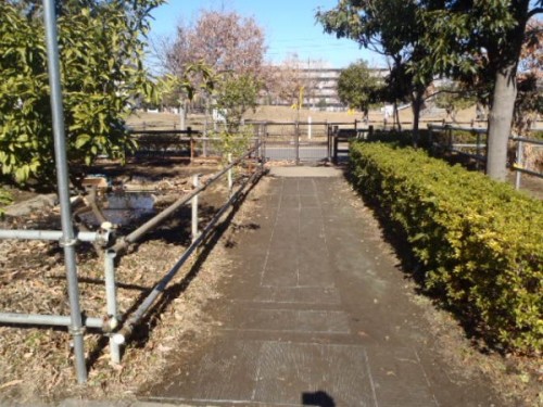 p1290008