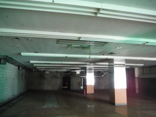 DSCF2091
