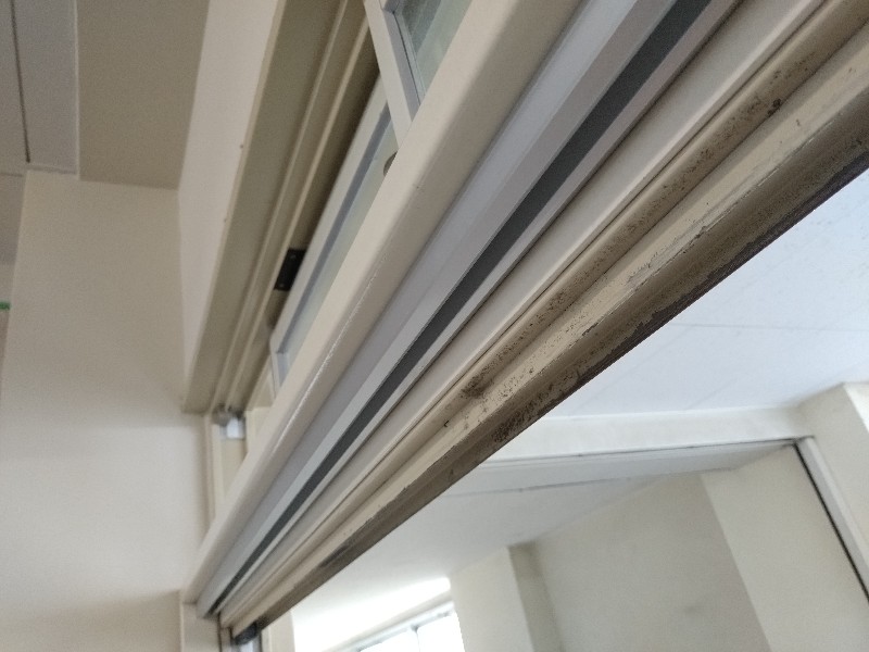 20240225_095704_copy_800x600