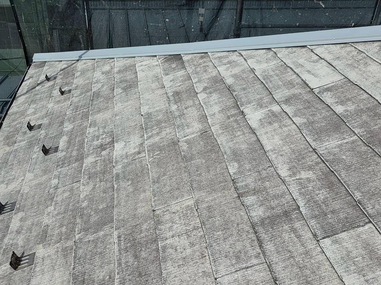 大相建設_251105_9 (9)